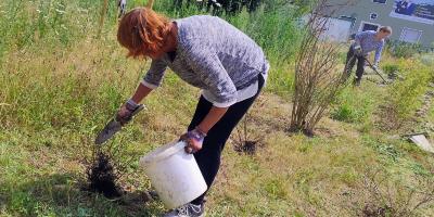 20250712_HedwigsGarten_Heckenpflege1