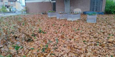 20251020_Aktionstag HG2