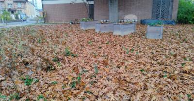 20251020_Aktionstag HG2