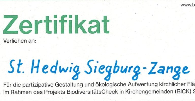 2025_Bick_Zertifikat HedwigsGarten (c) St. Servatius Siegburg