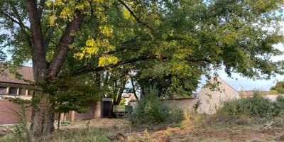 Bagger_Hedwigsgarten