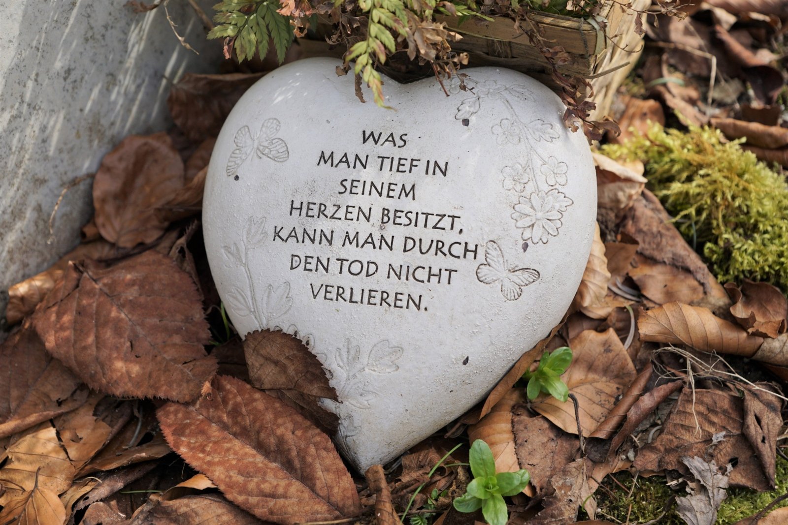 heart-3552159_by_strecosa_cc0-gemeinfrei_pixabay_pfarrbriefservice (c) pixabay