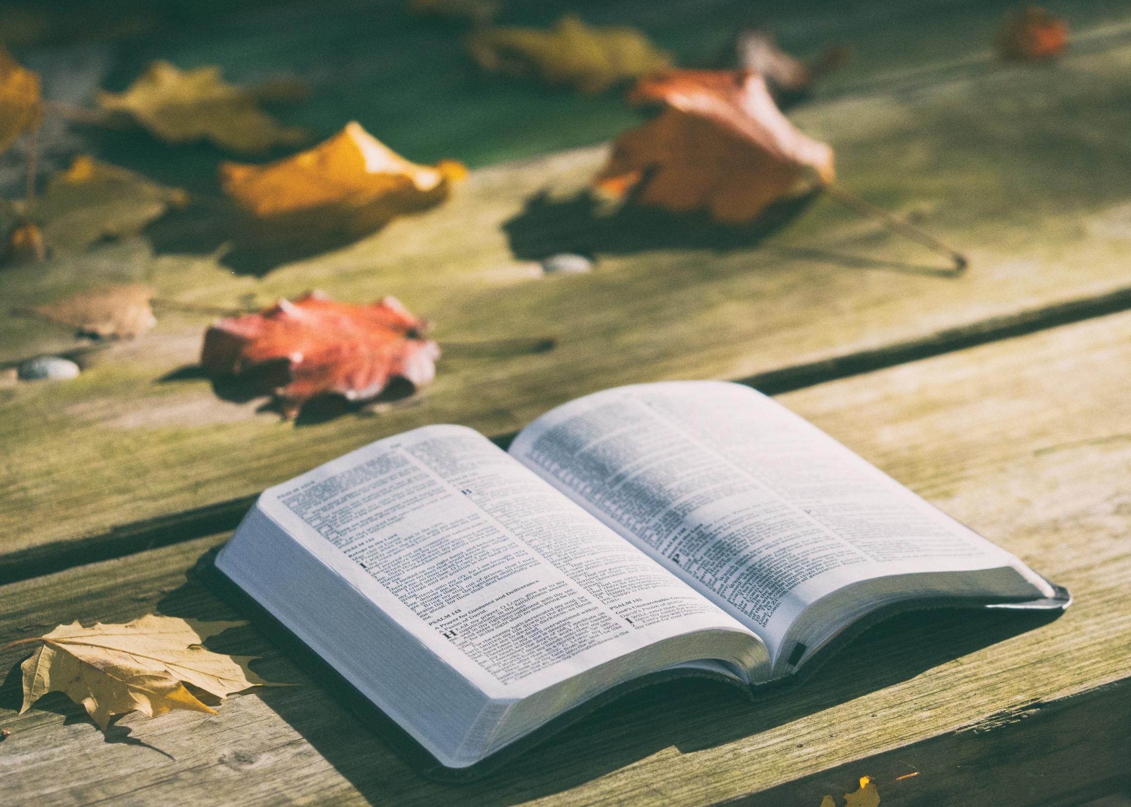 Bibel offen auf einem Tisch Blätter im Hintergrund