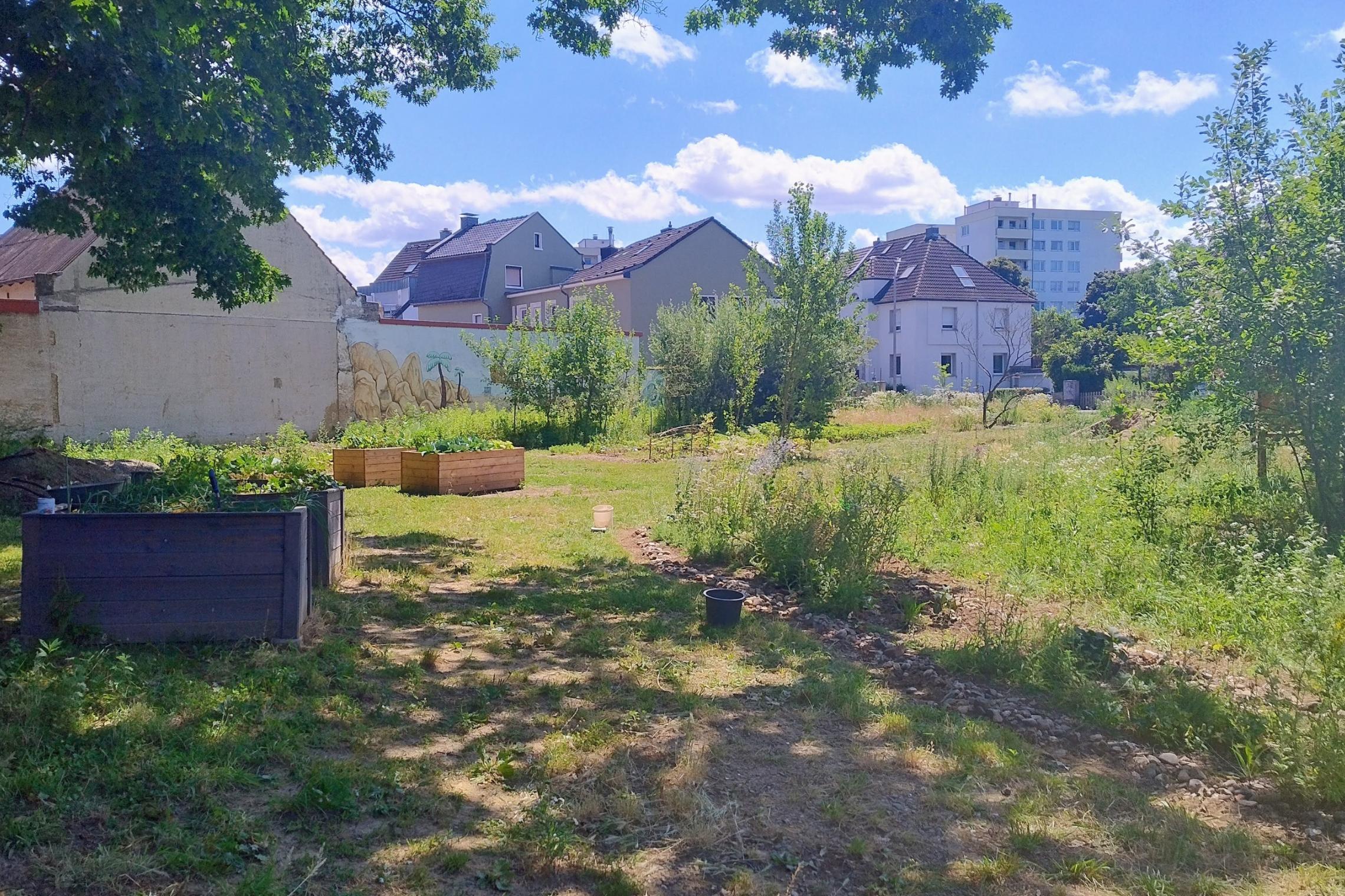 20250628_HedwigsGarten-Sommer