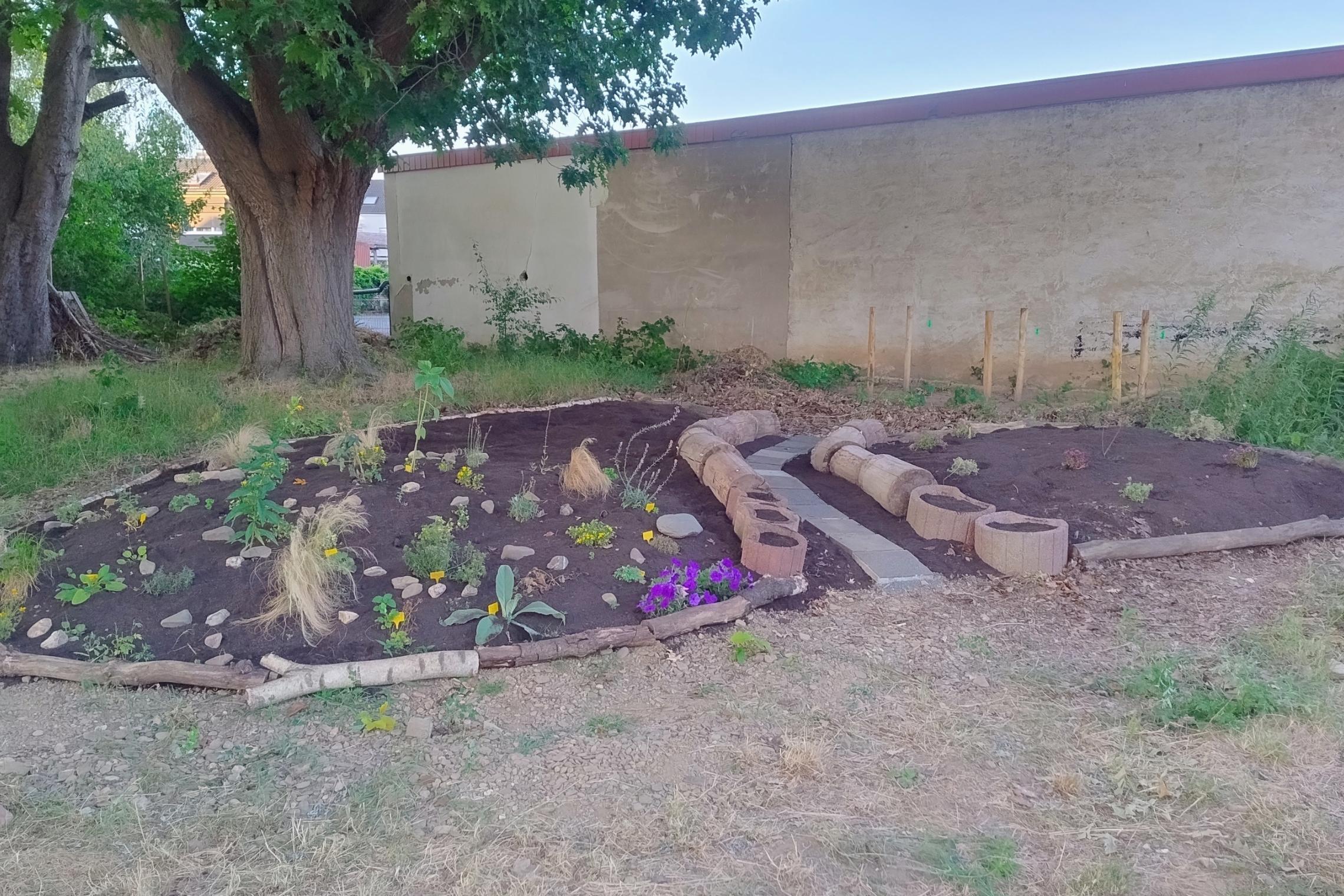 20260709_HedwigsGarten-Blumenbeet