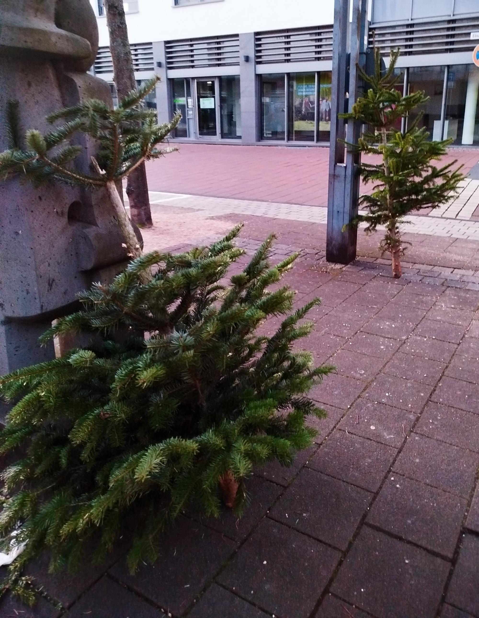 Ende der Weihnachtszeit_allgemein