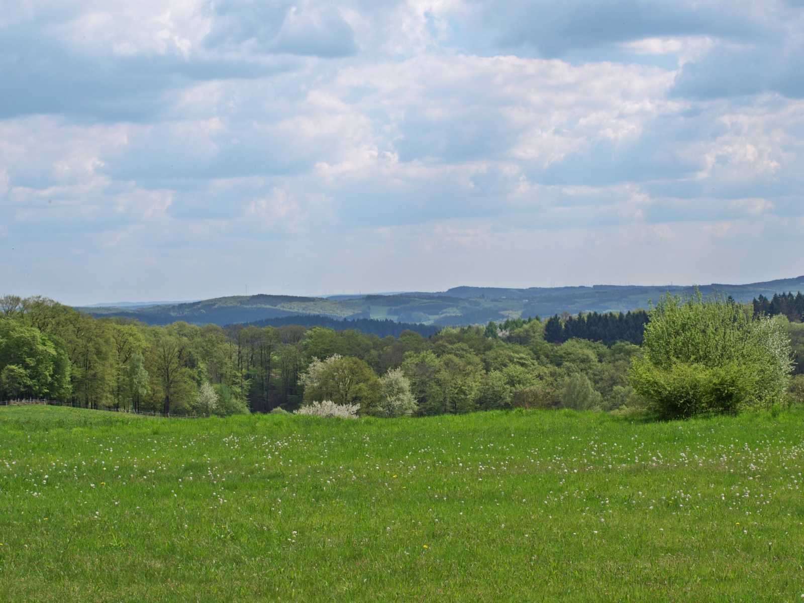 Wiese im Frühling Erzbistum Köln (c)Claudia Kellermann